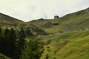 Paysage